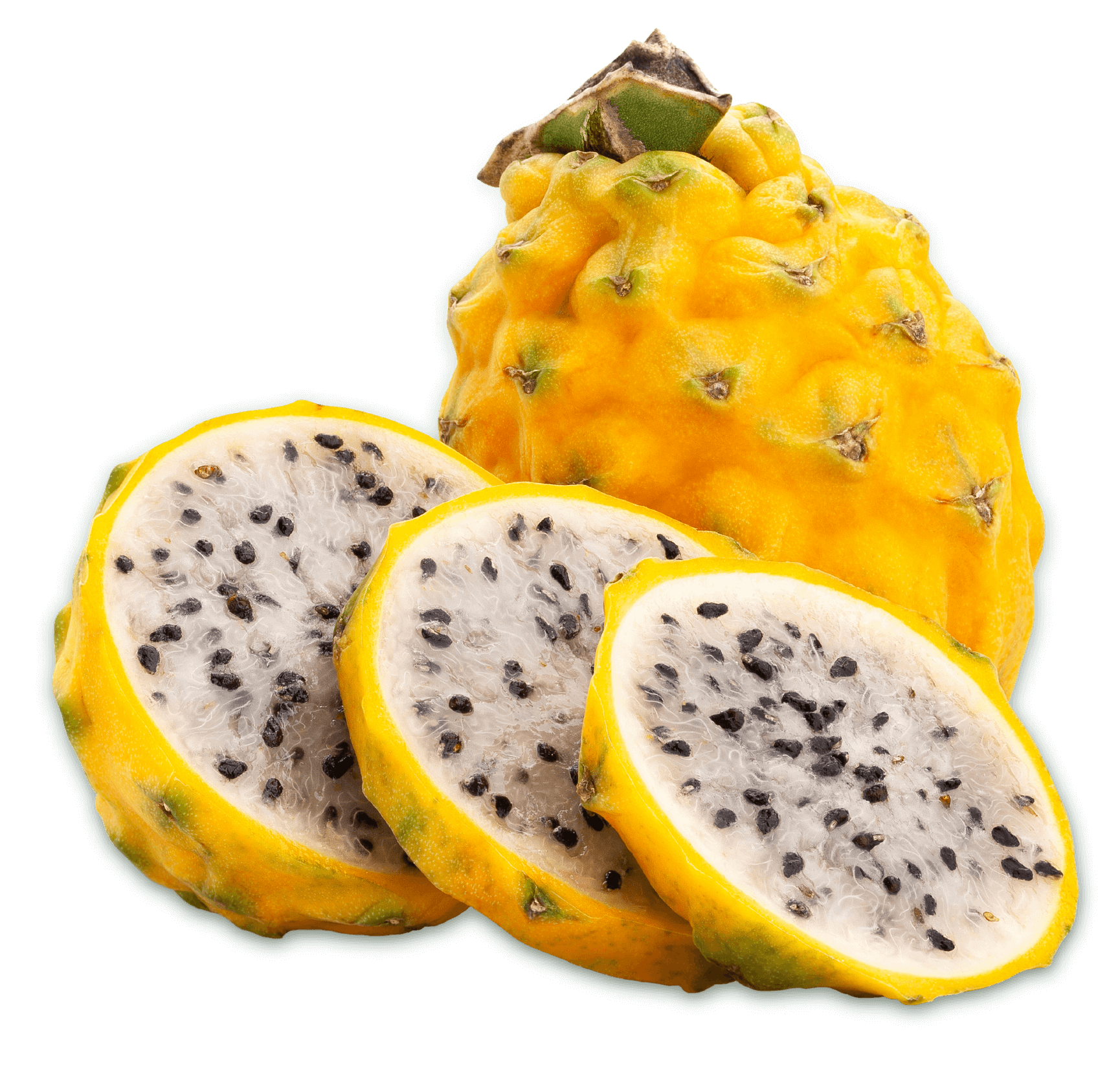 Pitahaya | Caribbean Exotics