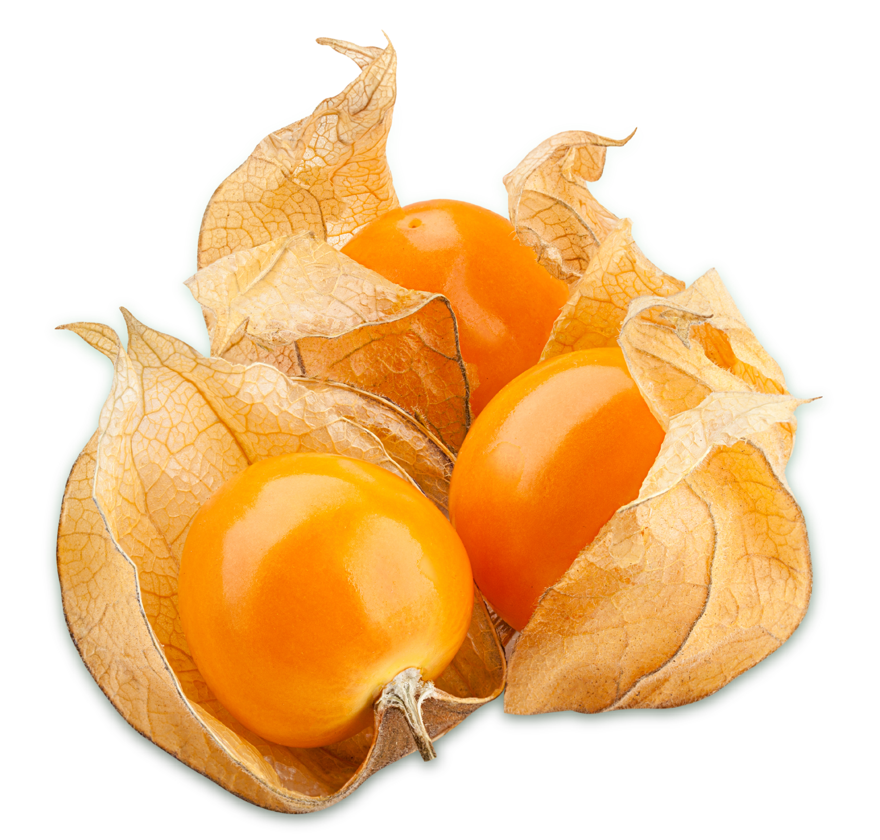 Physalis or Golden Berries