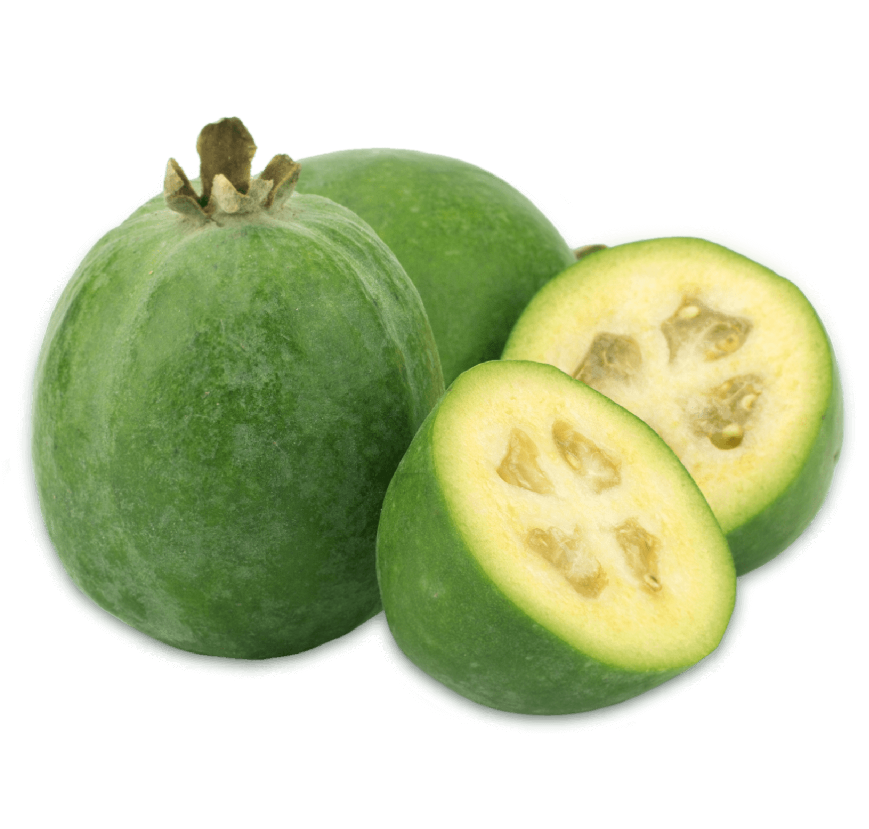 Feijoa