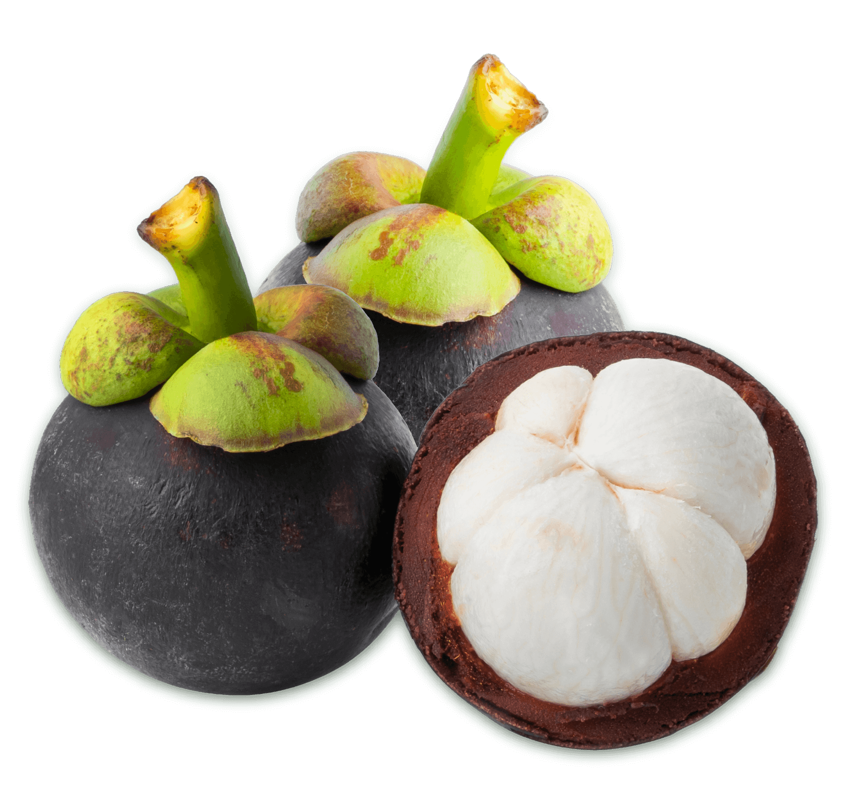 Mangosteen